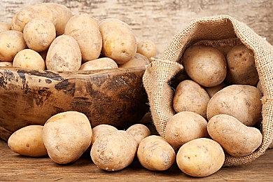 KONAMI公开承认《eFootball 2022》发售时并不完整